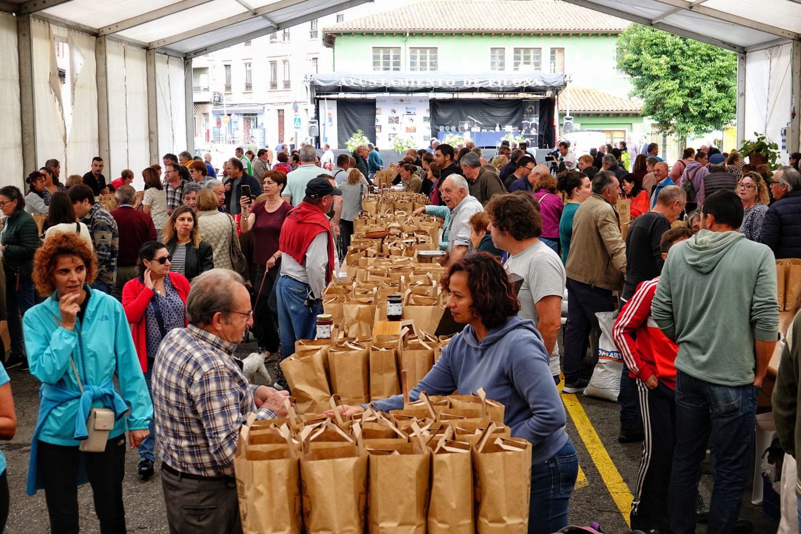 Los cosecheros cambian, la avellana permanece