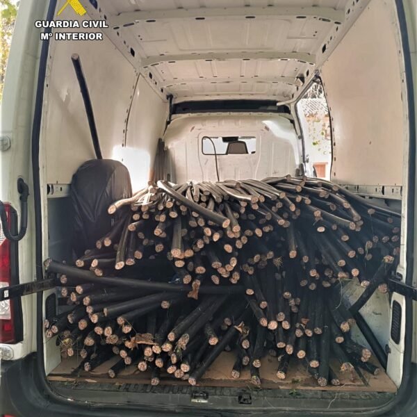 Dos detenidos por robar tres toneladas de cable de cobre entre Amieva y Ponga