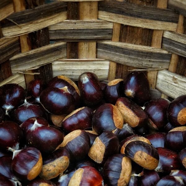 Parres vuelve a rendir homenaje al otoño con el XXXIV Certamen de la Castaña y Productos de la Huerta