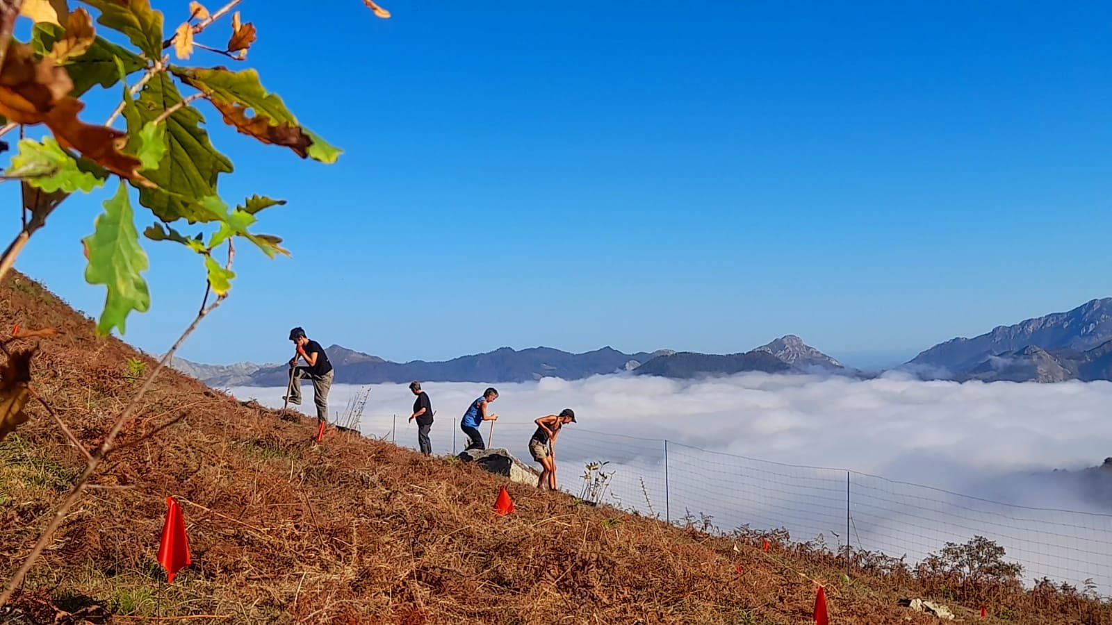 el21asturias.es