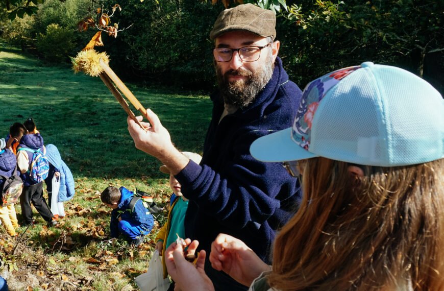 A la gueta: escolares que apañan castañas y cultivan futuro 