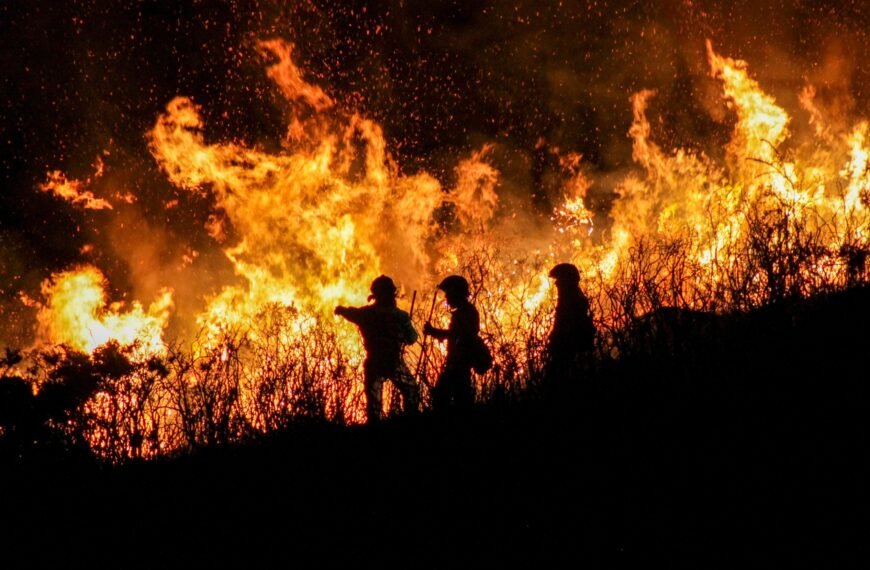 Nuevas ayudas de 2,6 millones para luchar contra la emergencia climática desde los ayuntamientos