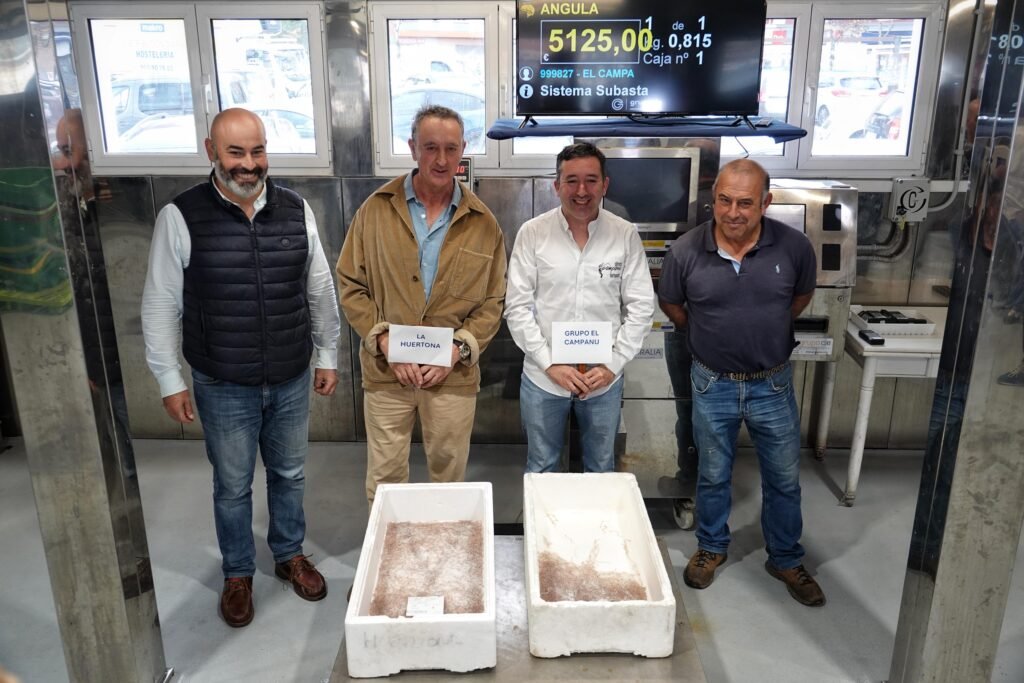 5.125 euros por la primera angula de la temporada en Ribadesella 