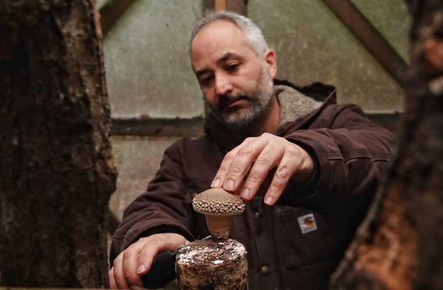 Funginatur: producir en el bosque para cuidar el bosque