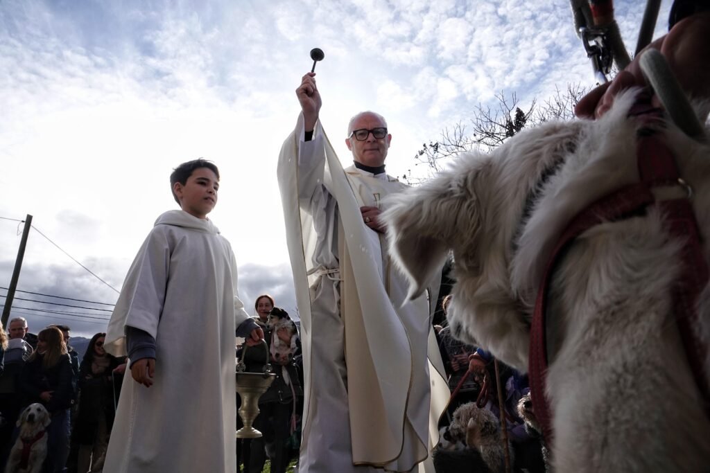 Benditos sean los animales en San Antón de Parres