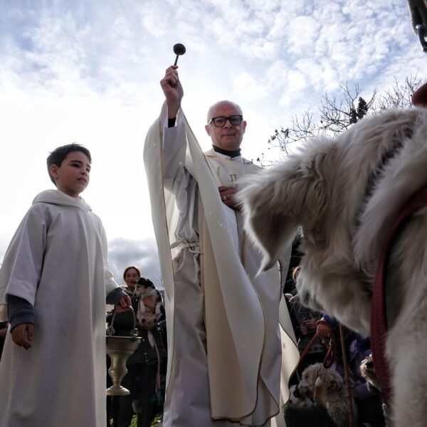 Benditos sean los animales en San Antón de Parres