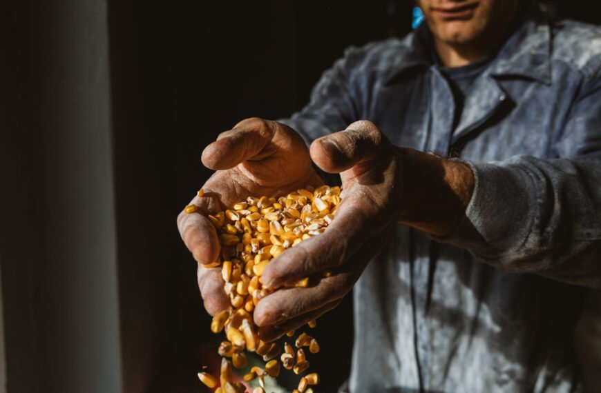 El arte de mirar a los productos de la tierra