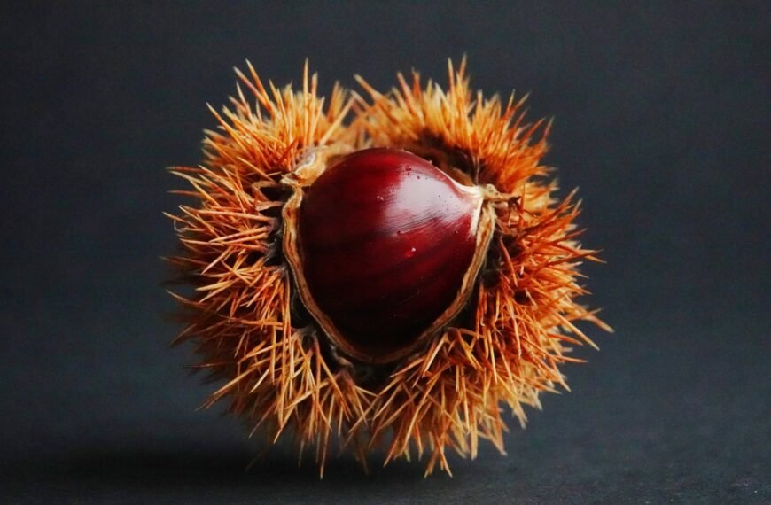 Parres: un destino gastronómico de 4 estrellas