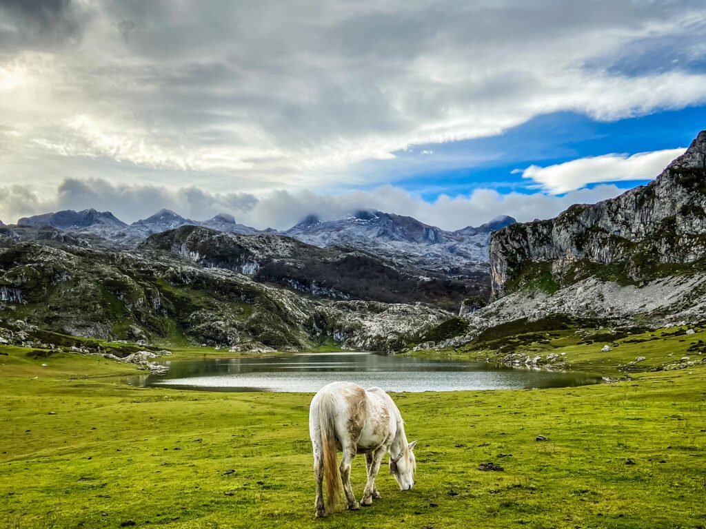 Guía práctica para visitar los Lagos de Covadonga en 2026