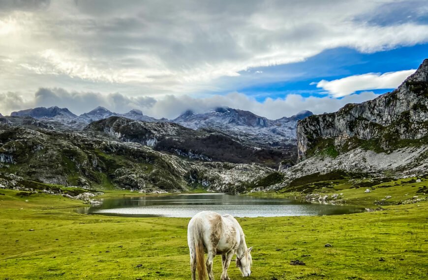 Guía práctica para visitar los Lagos de Covadonga en 2026