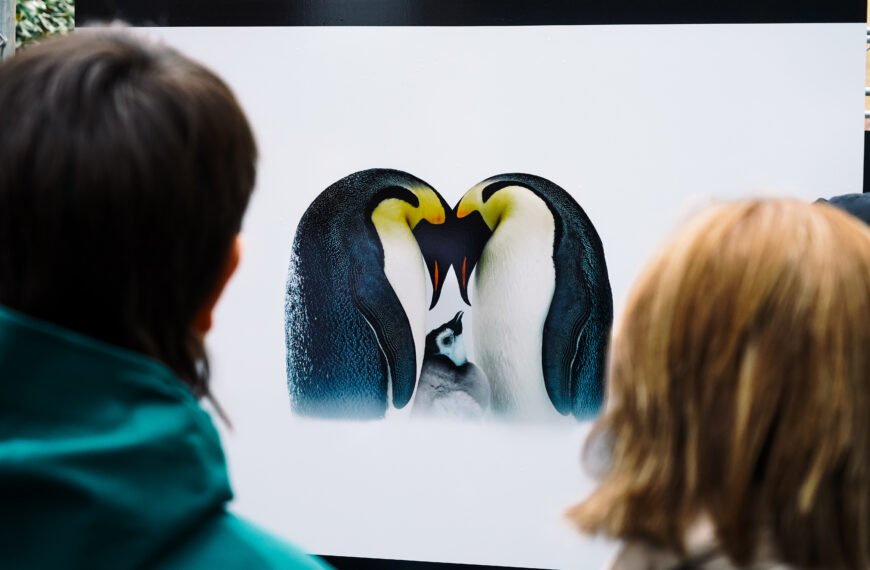 Piloña, ventana al mundo: el Memorial María Luisa convierte sus calles en un museo de fotografía al aire libre