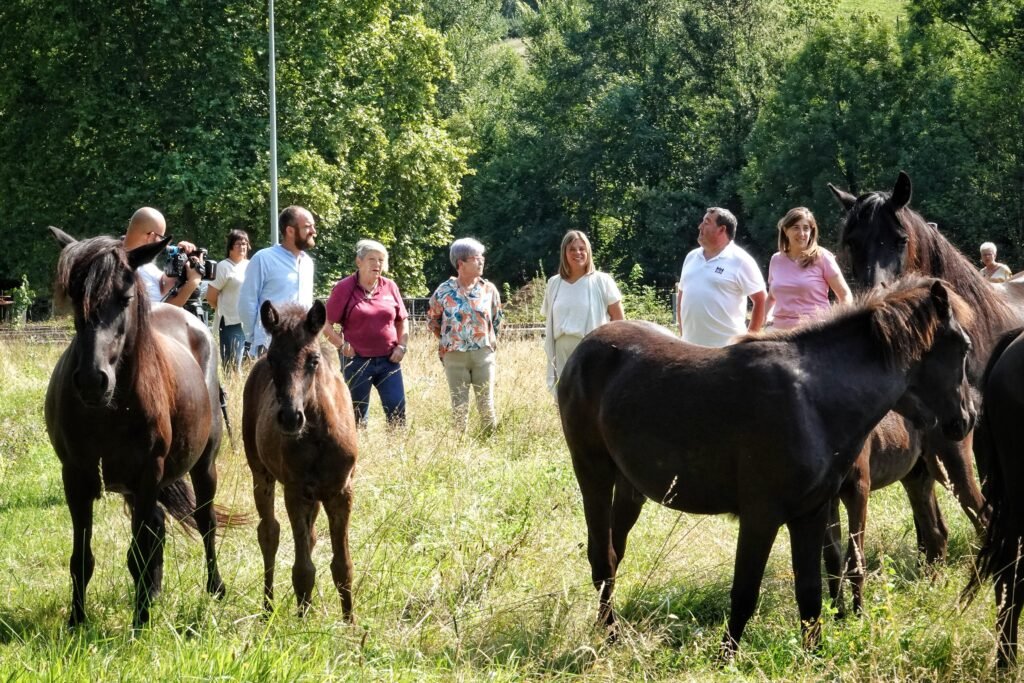 Piloña gana tres nuevos espacios para disfrutar del concejo