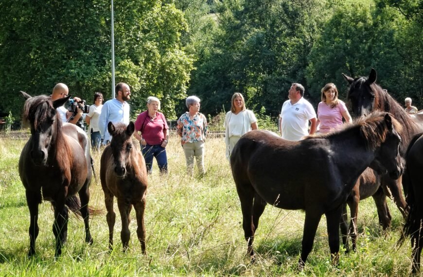 Piloña gana tres nuevos espacios para disfrutar del concejo