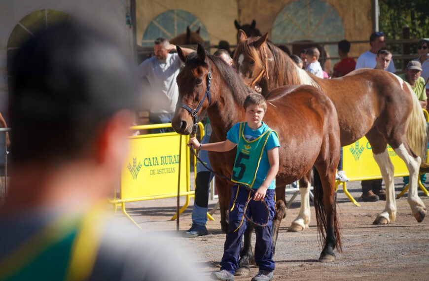 Razas autóctonas y caballos por Santa Teresa en Piloña