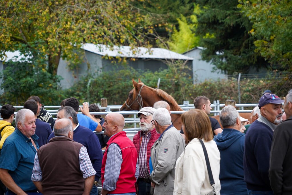 Los caballos y el mercado mantienen viva la Feria de Santa Teresa de Piloña