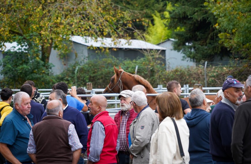 Los caballos y el mercado mantienen viva la Feria de Santa Teresa de Piloña
