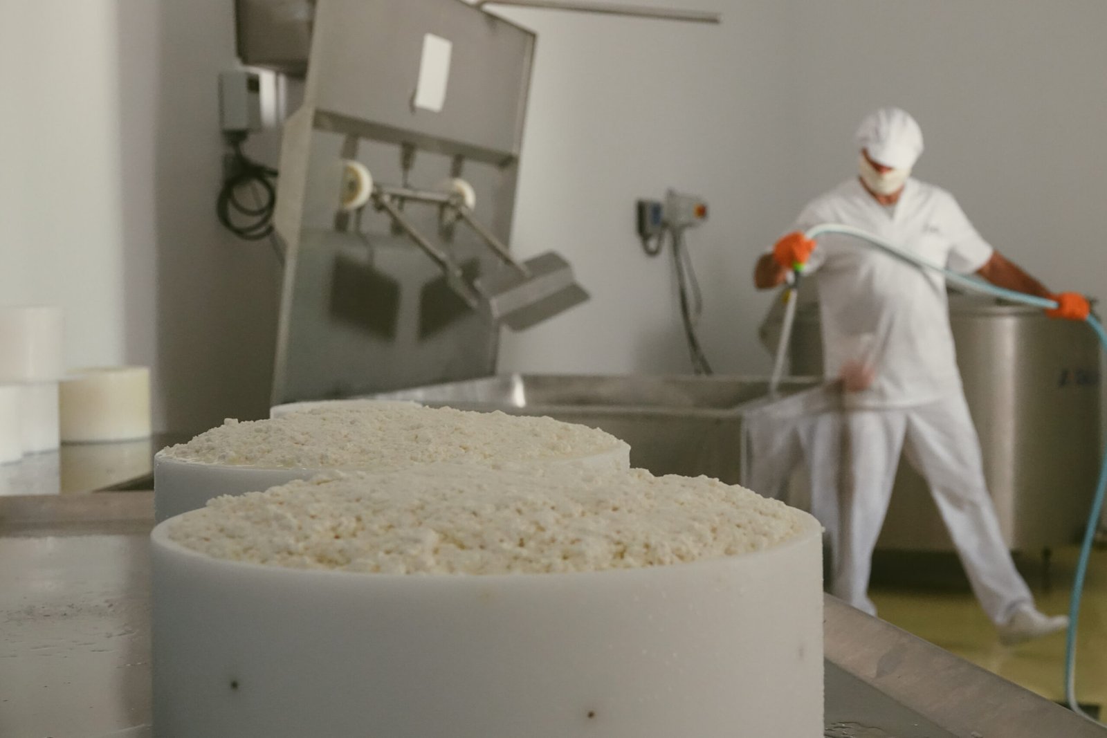 Quesero con indumentaria blanca, mascarilla y guantes naranjas trabajando con una manguera en la sala de elaboración, con moldes de cuajada en primer plano