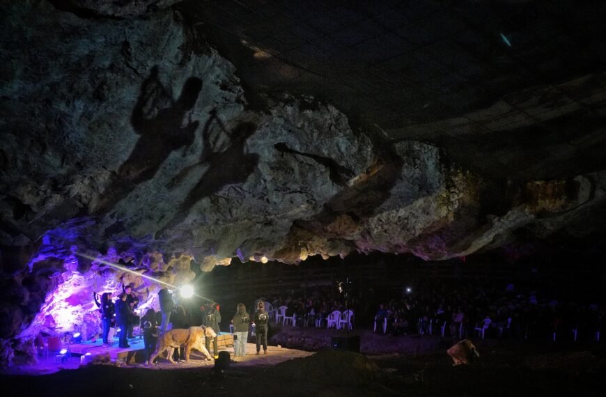 Concierto-cuevona-Avin-2026